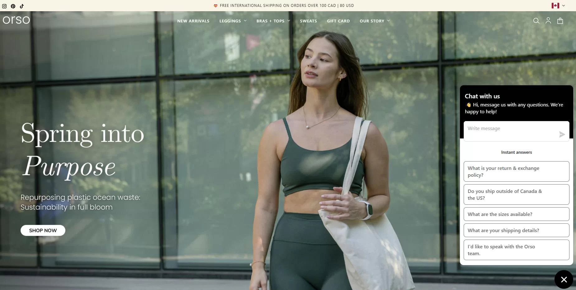 Customer Uncertainty & Live Chat Support