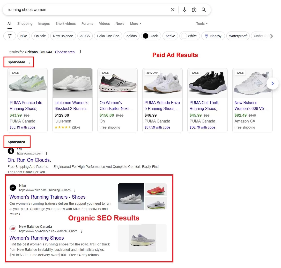 Google Ads vs SEO for Shopify eCommerce