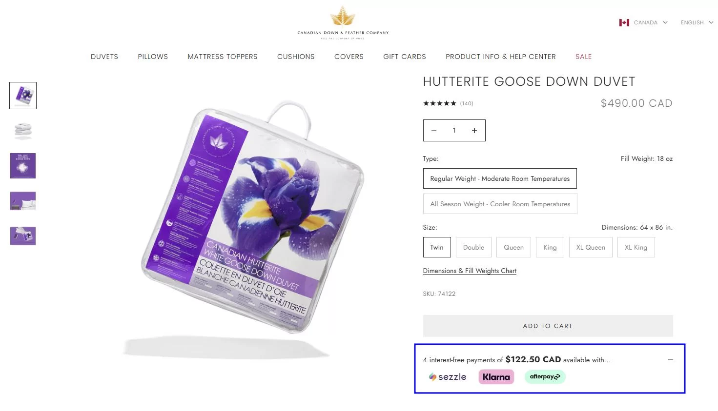 Shopify website offering multiple payment options