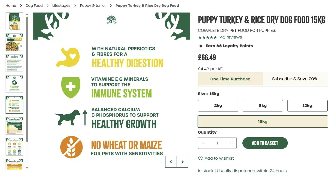 Website & UX Optimization