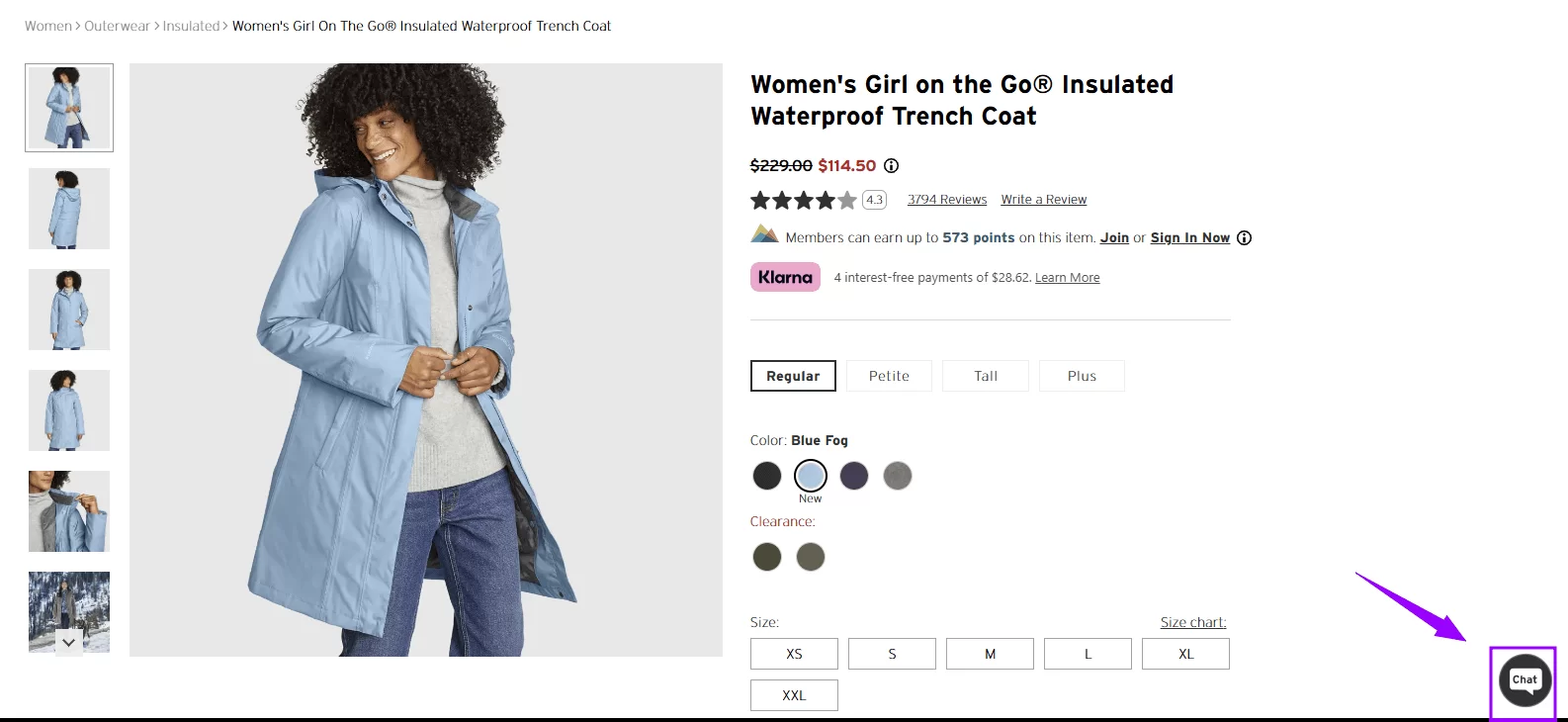 An example of a chat option on the product page