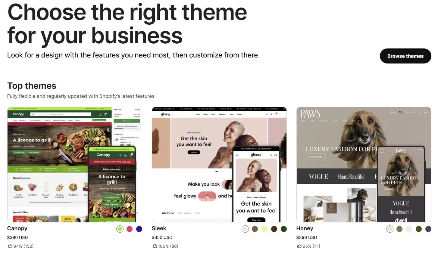Shopify top themes