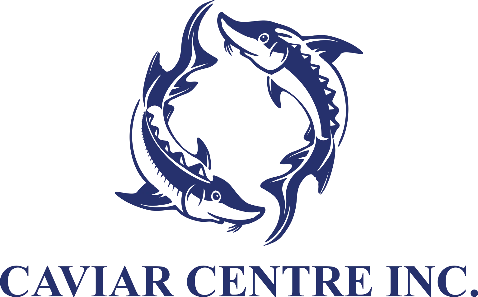 company-logo-pic