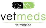company-logo-pic